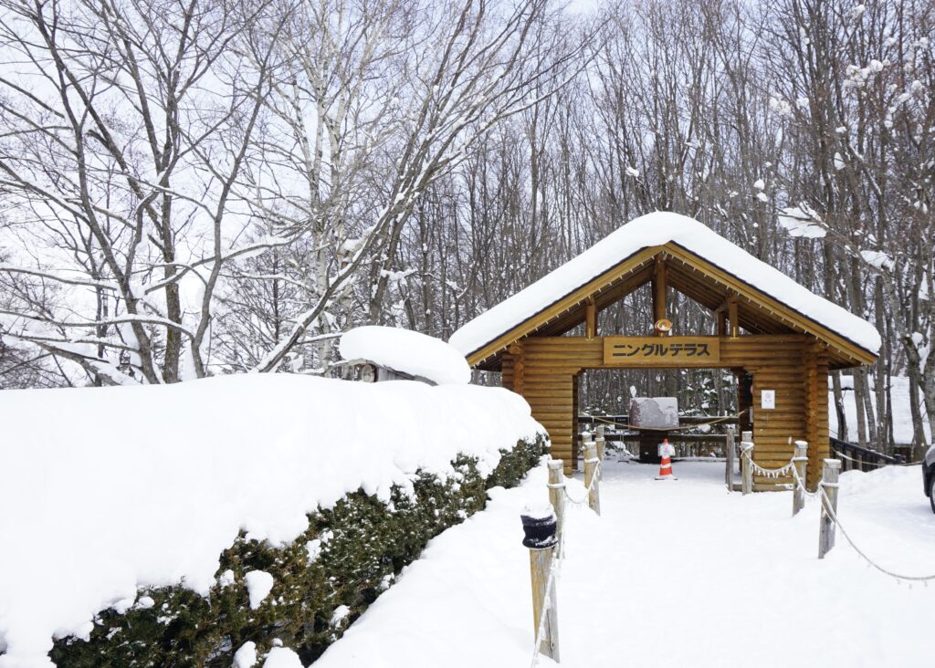 北海道景點推薦 富良野精靈露台 