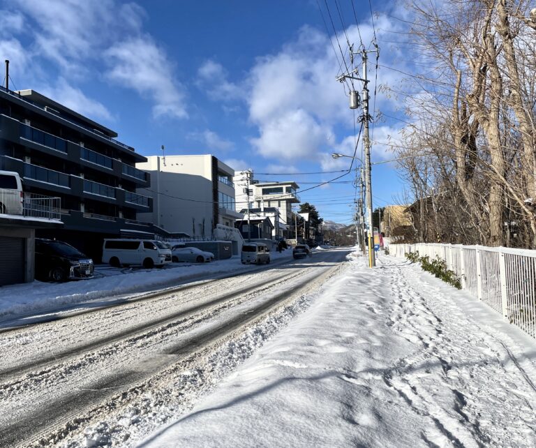 北海道冬季街道景色，藍天陽光與積雪構成清新明亮的城市風景