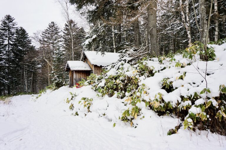 北海道 星野TOMAMU 雪地山林 小木屋 夢幻