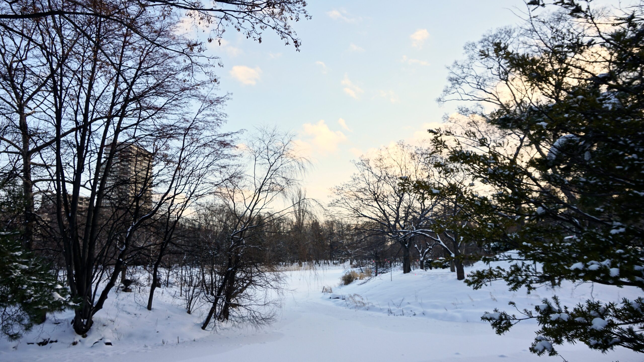 中島公園 豐平館日式庭園與冬季雪景