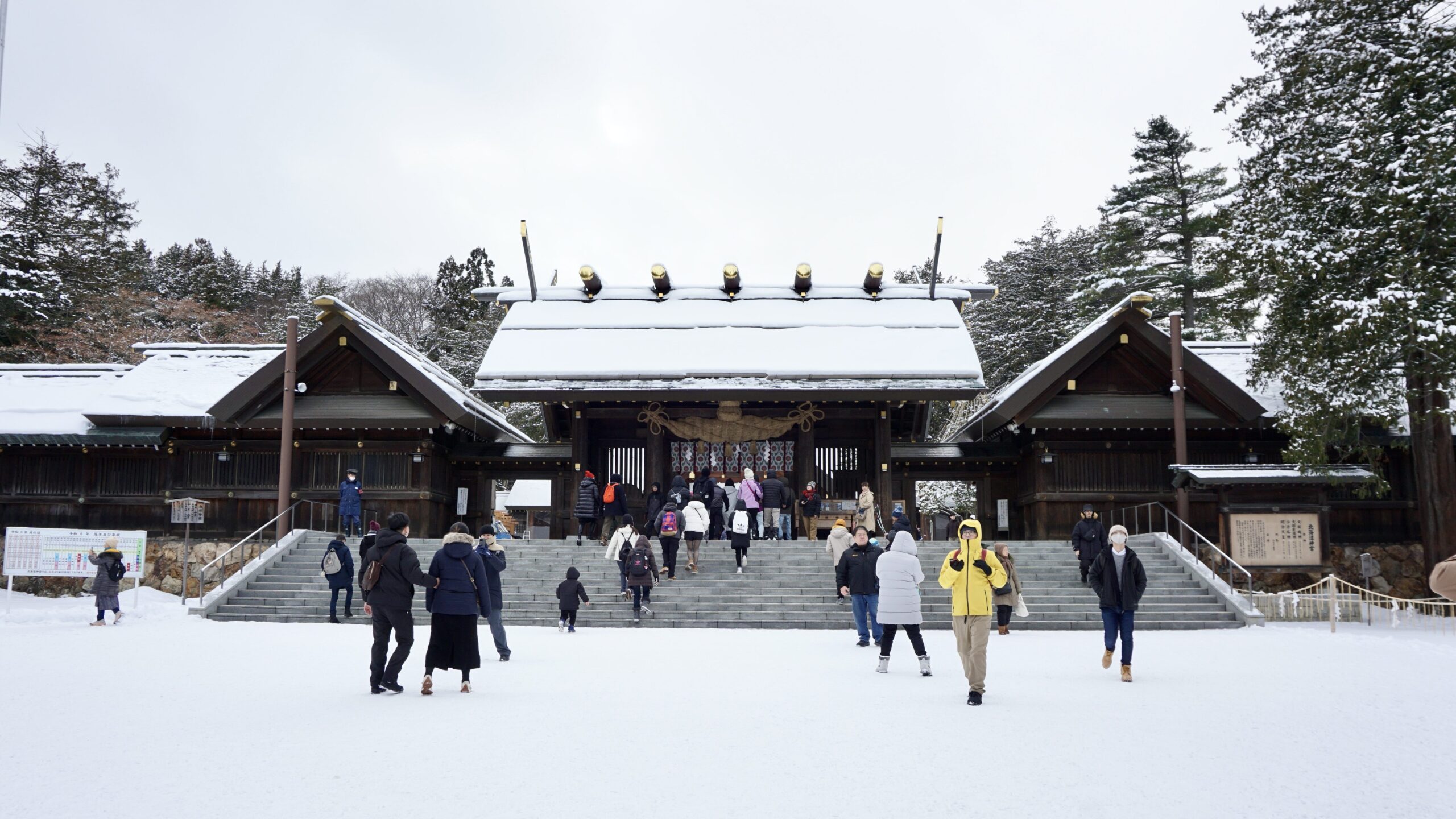 北海道神宮 冬季雪景 札幌必去神社與御守