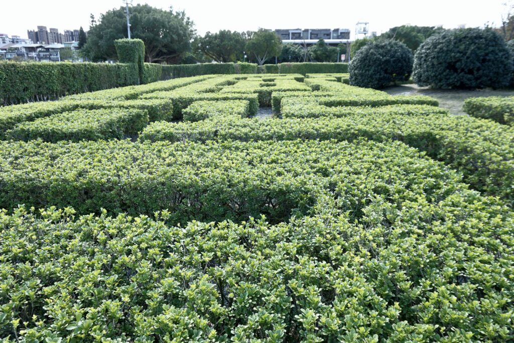 台北景點 新生公園 迷宮花園