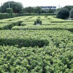 台北景點 新生公園 迷宮花園