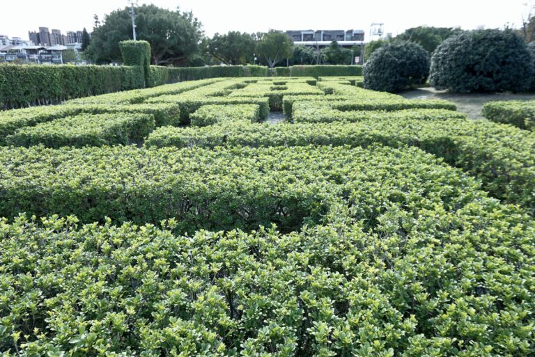 台北景點 新生公園 迷宮花園