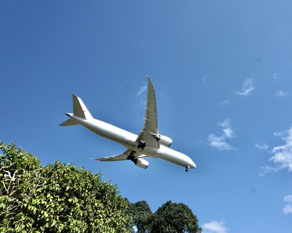 台北景點 新生公園 迷宮花園