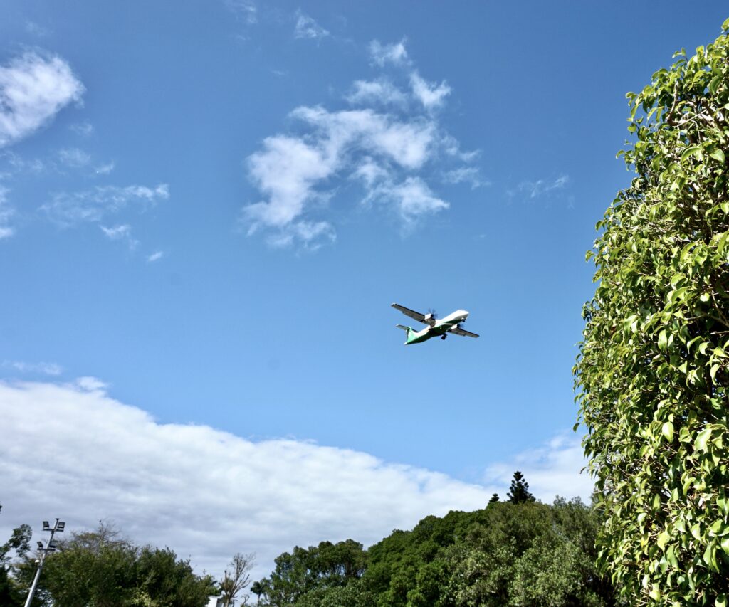 台北景點 新生公園 迷宮花園