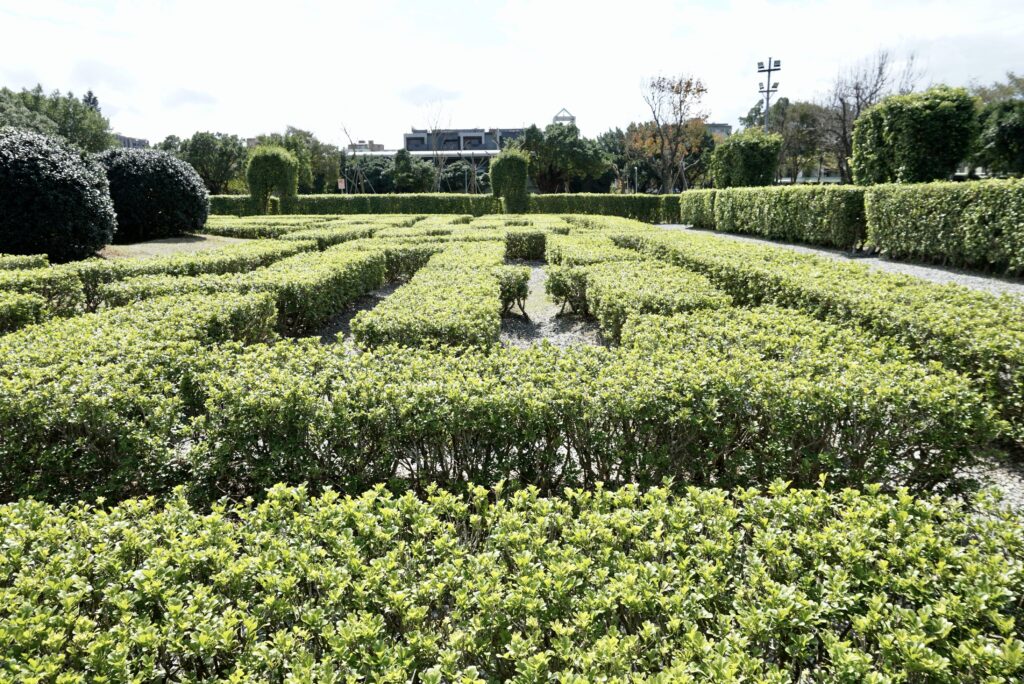 台北景點 新生公園 迷宮花園