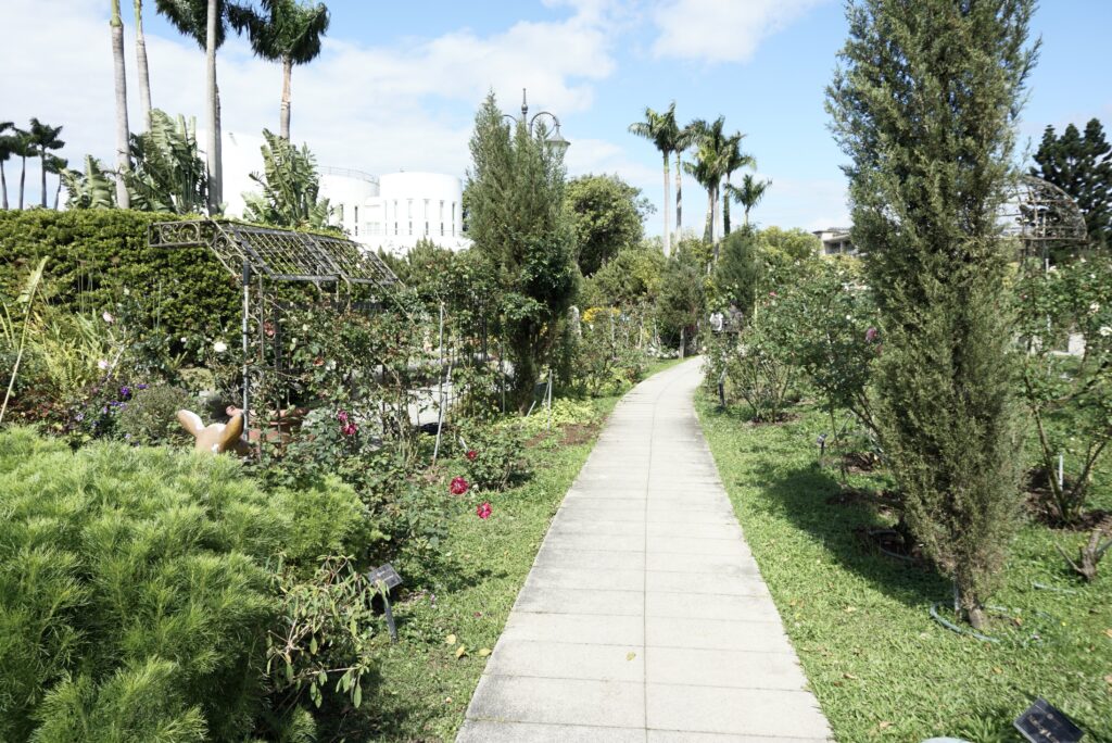 台北景點 新生公園 台北玫瑰園