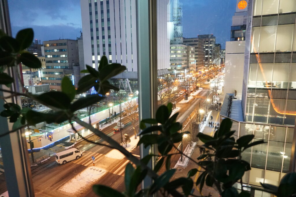 AOAO SAPPORO 窗景 札幌市區冬季夜景 植物