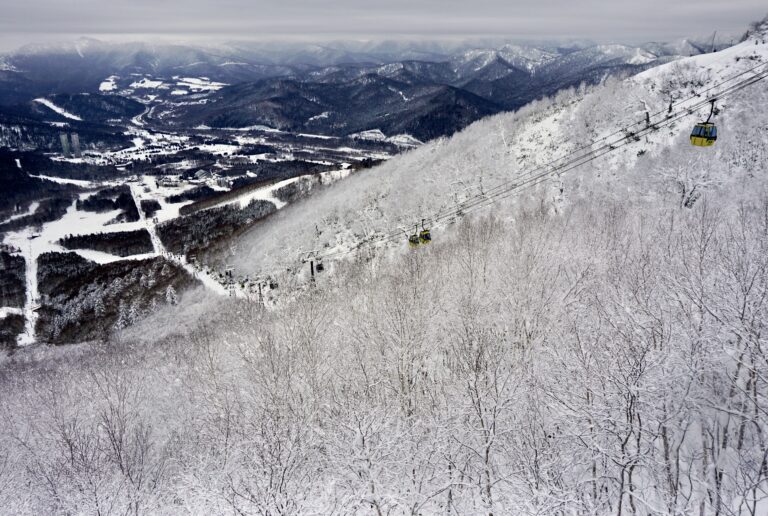 北海道星野霧冰平台纜車雪景 山林覆雪冬季風景
