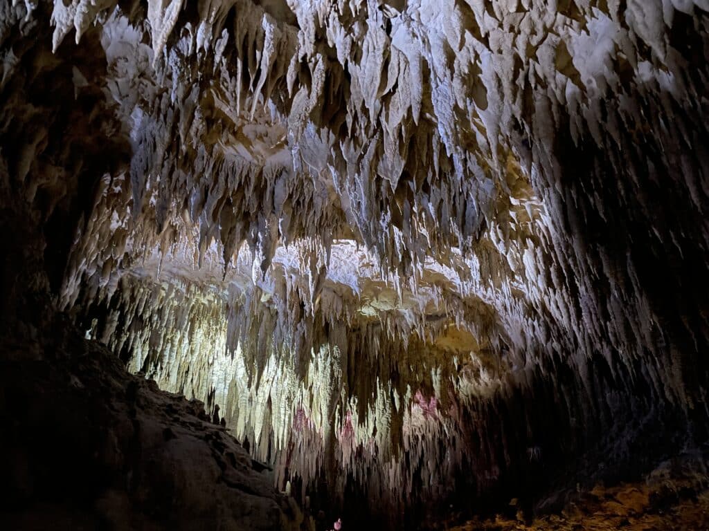 沖繩玉泉洞 鐘乳石洞穴燈光特寫