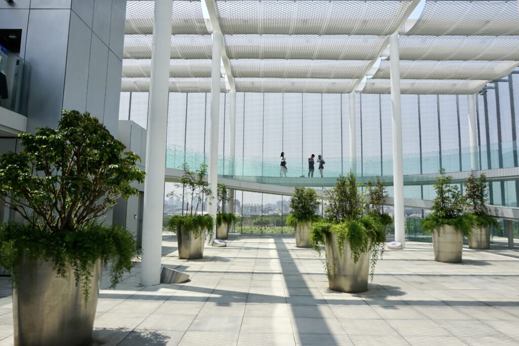 台中綠美圖文化之森 盆栽植物 光影 遊客