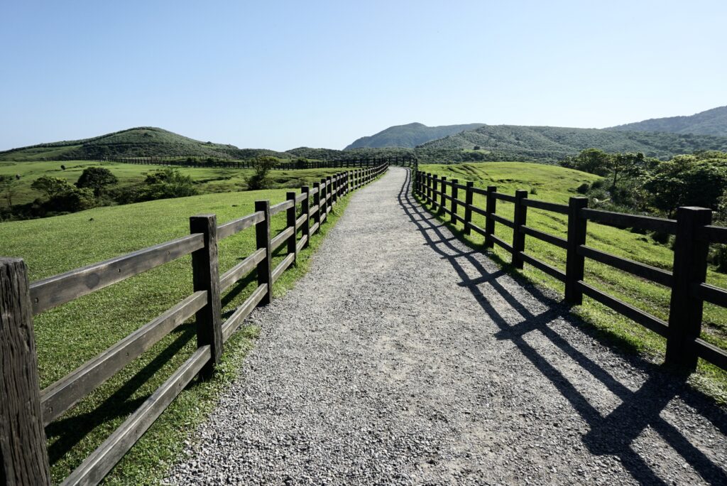 陽明山國家公園 擎天崗 環形步道