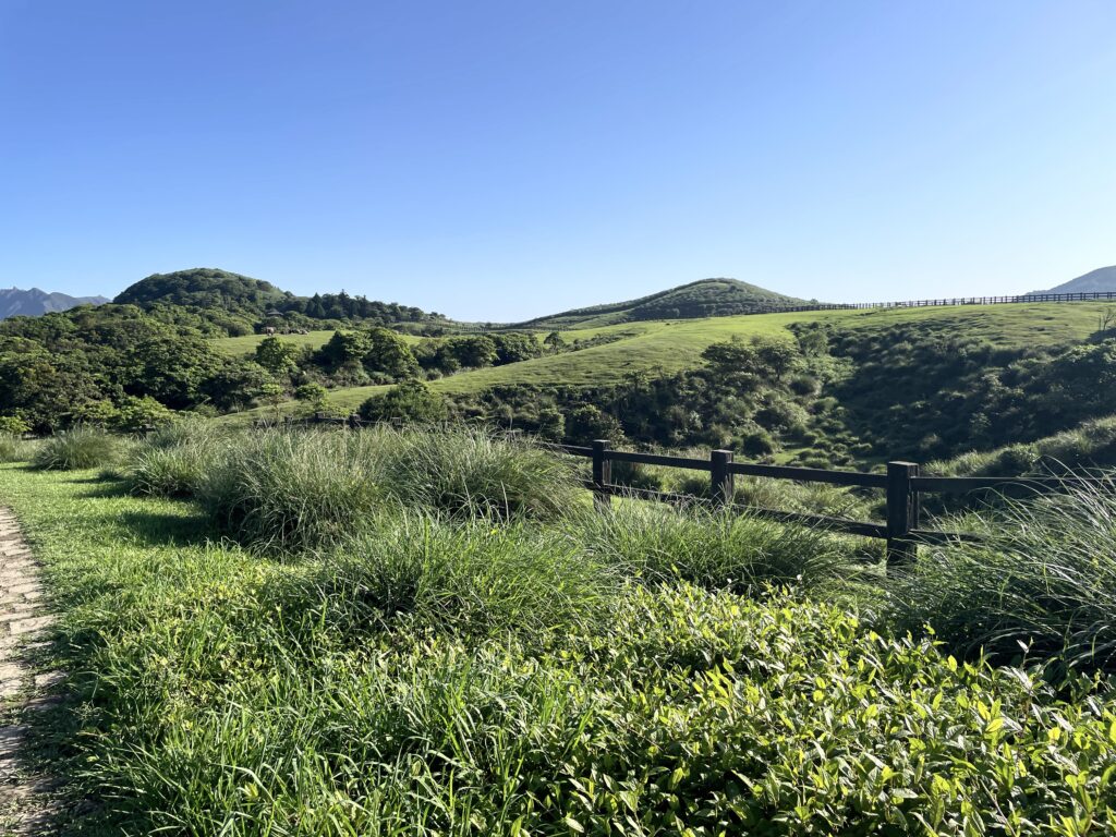 陽明山國家公園 擎天崗