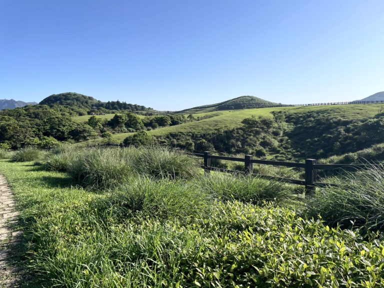 陽明山國家公園 擎天崗
