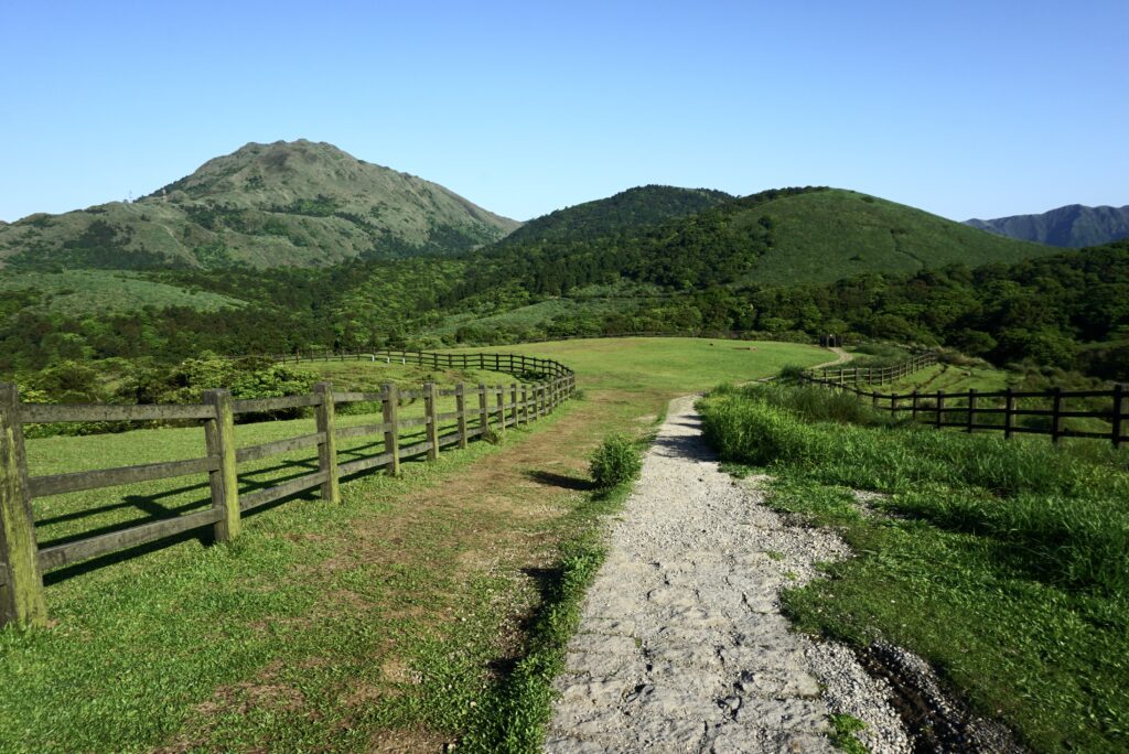 陽明山國家公園 擎天崗