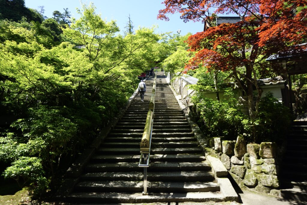 廣島宮島大聖院石階紅楓與新綠交織通往山門