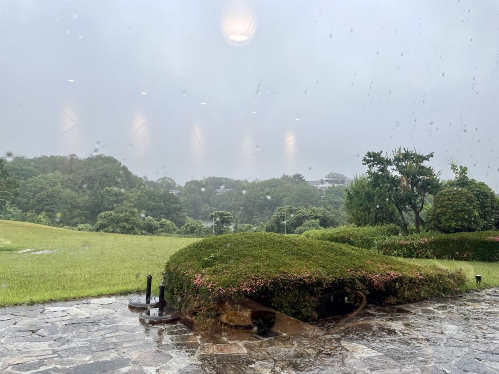 吃早餐時看出去的風景